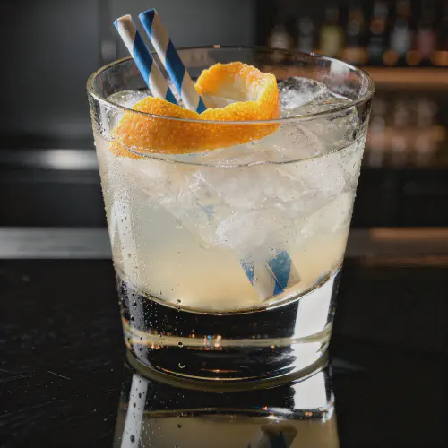 Gin Sling