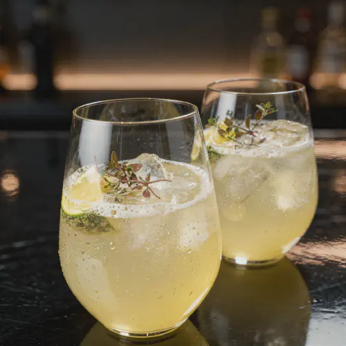 Lemon Elderflower Spritzer